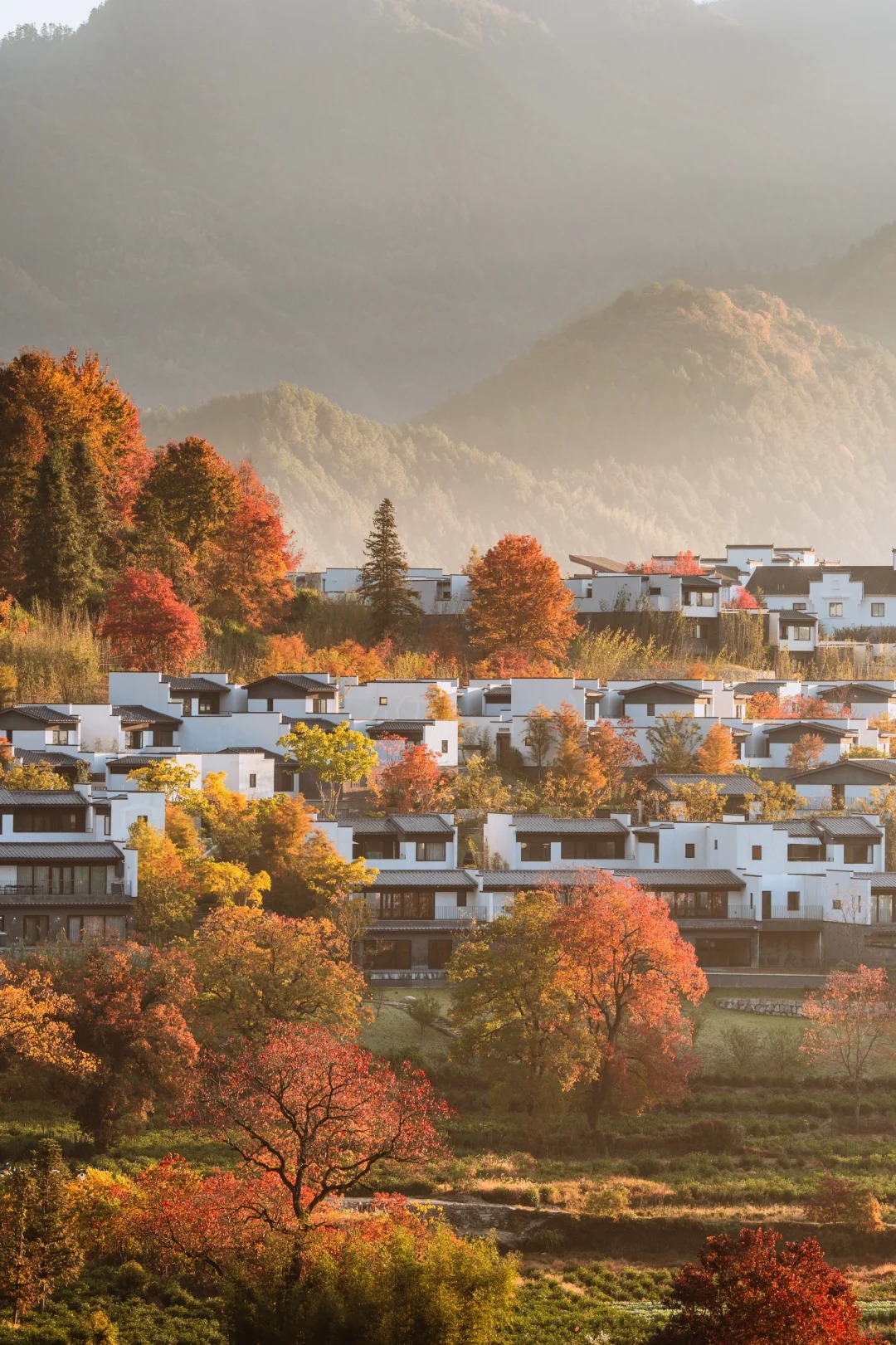 11.12日-卢村晨雾实况_1_葉_安徽徽州-来自52tours 我爱旅游网